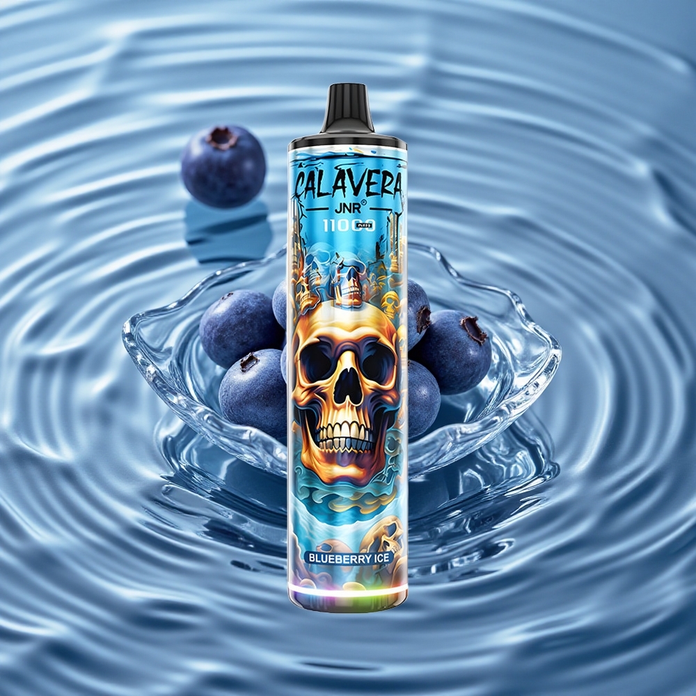 JNR Calavera 11000 Puffs 21ml Vienkartinis Vape Mėlynųjų Uogų Ledas