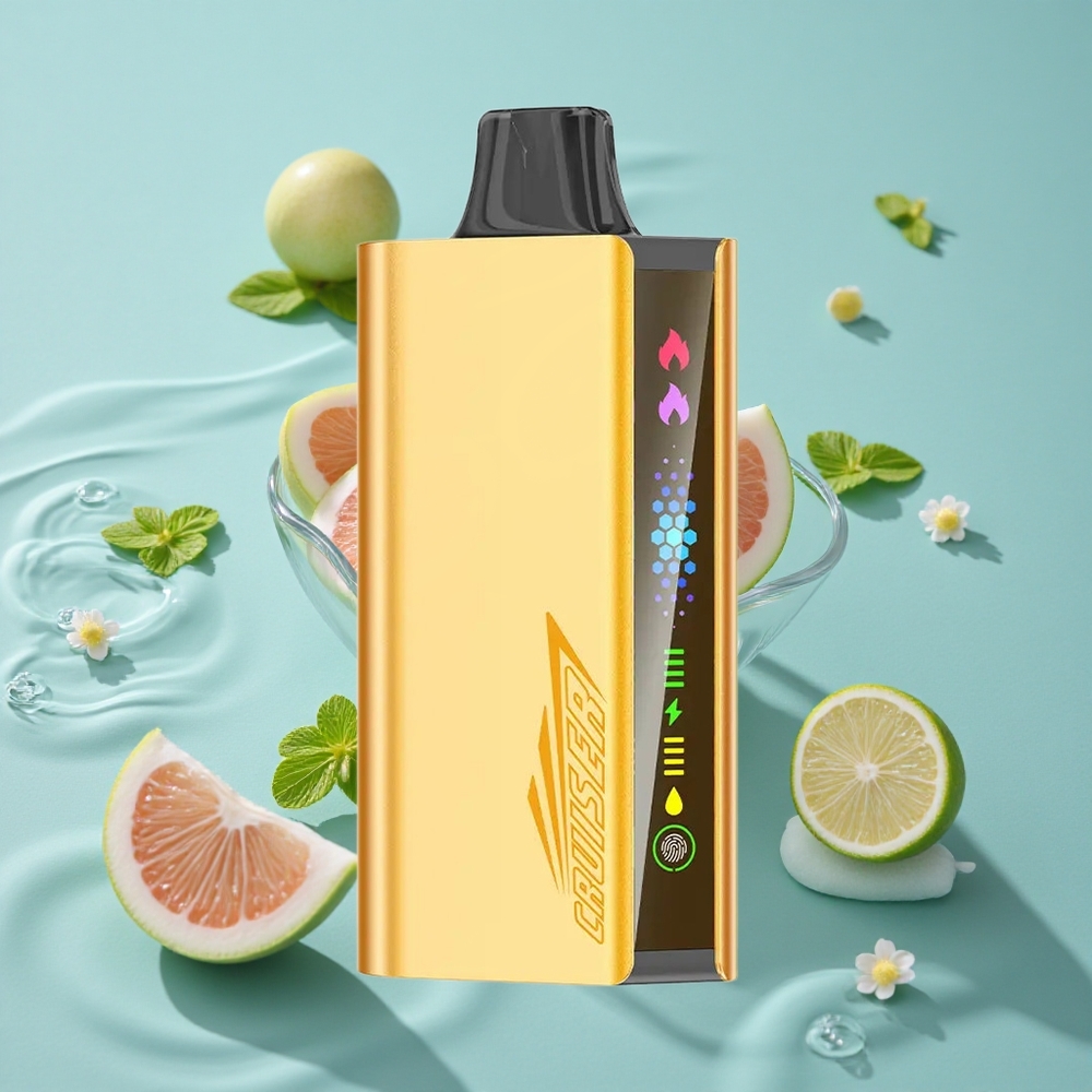 JNR Cruiser 12000 Puffs No-Charge Vienkartinis Vape Šalta Mėta