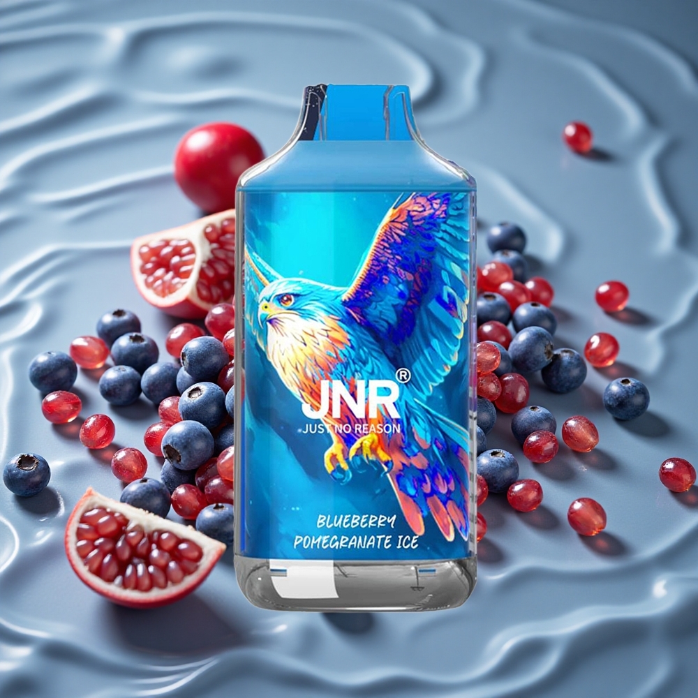 JNR Falcon 16000 Puffs Vienkartinis Vape Mėlynųjų Agronų Ledas