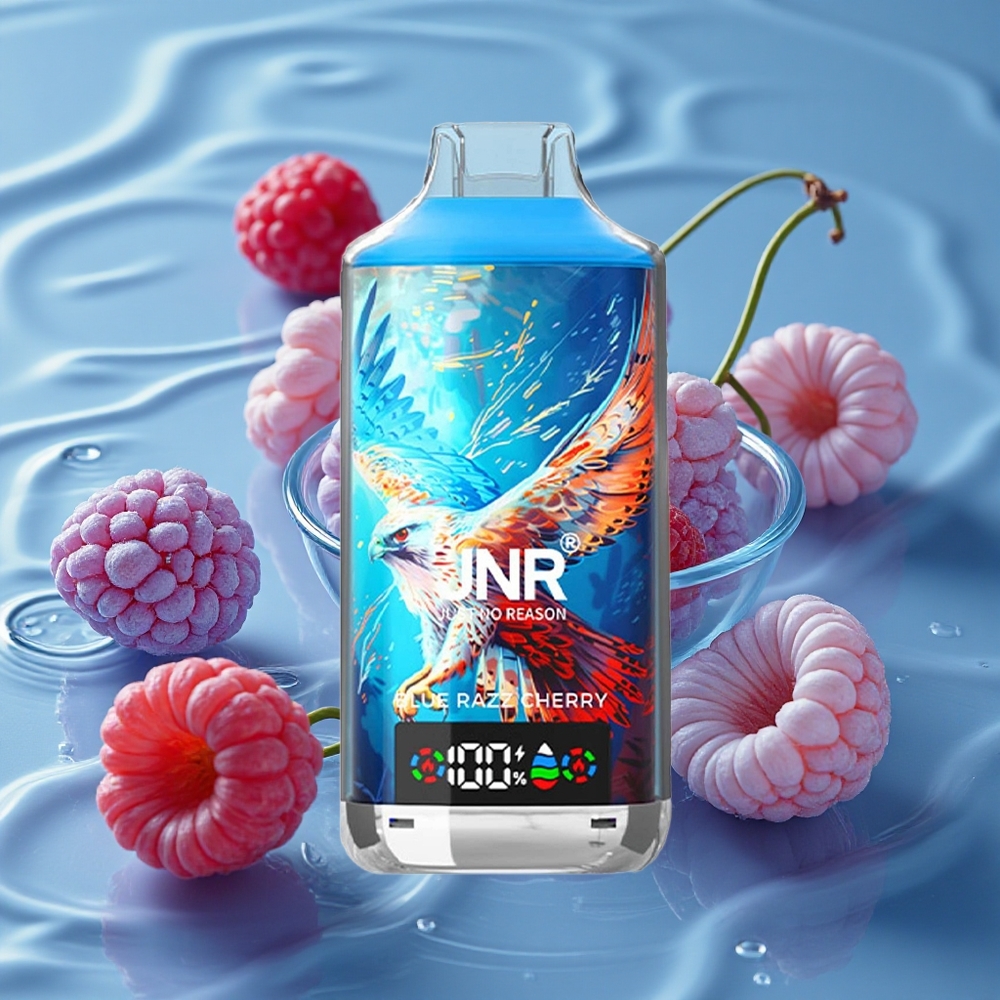 JNR Falcon X 18000 Puffs Dviguba Tinklelio Ritė (Mėlyna Avietė Vyšnia)