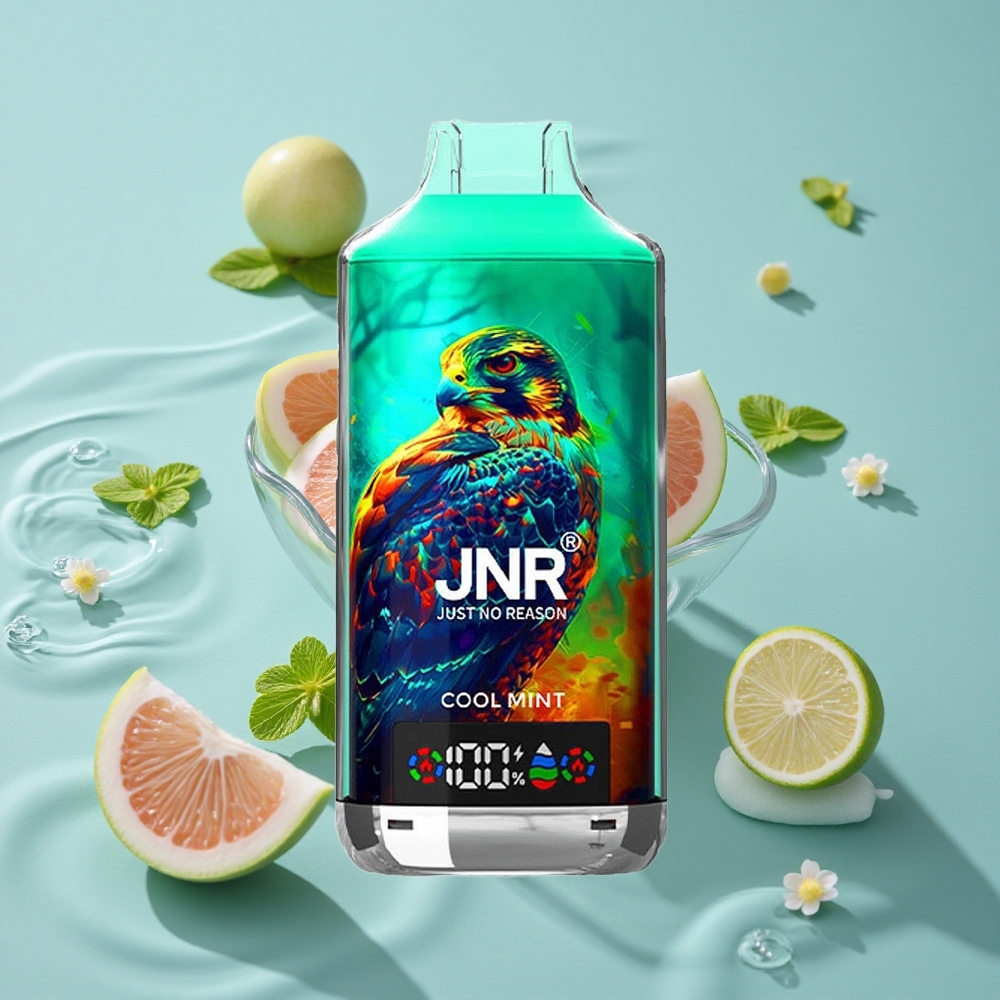 JNR Falcon X 18000 Puffs Vienkartinis Vape Šalta Mėta