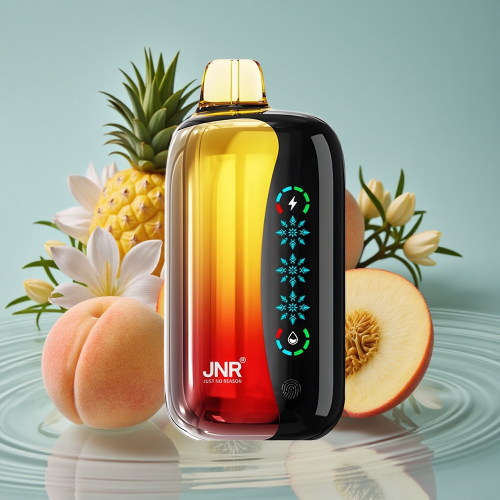 JNR Flex Ice 21000 Puffs Vienkartinis Vape Persikas Mango Ananasas