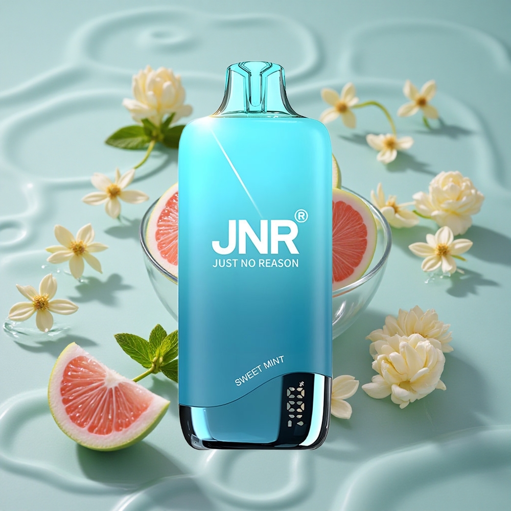 JNR Rainbow 10500 Puffs Vienkartinis Vape Saldžios Mėtos