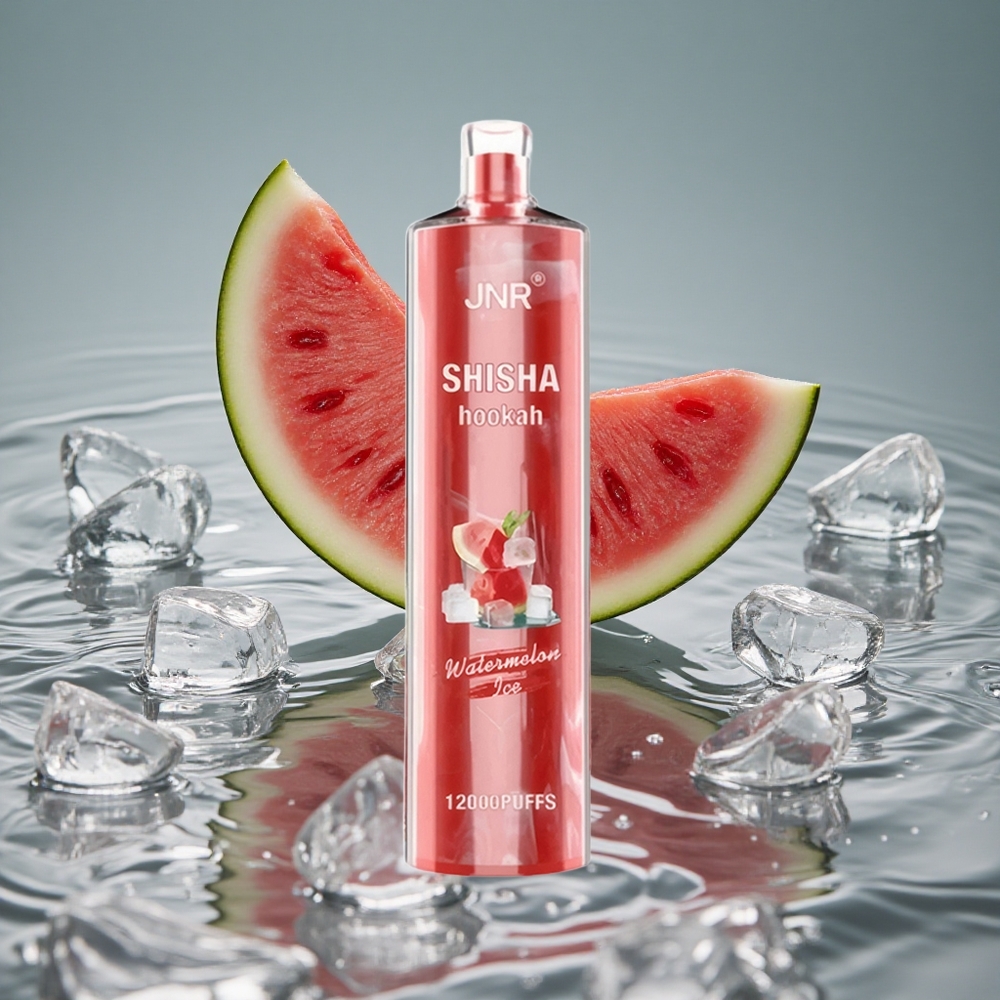 JNR Shisha Hookah 12000 Puffs Vienkartinis Vape Arbūzo Ledas