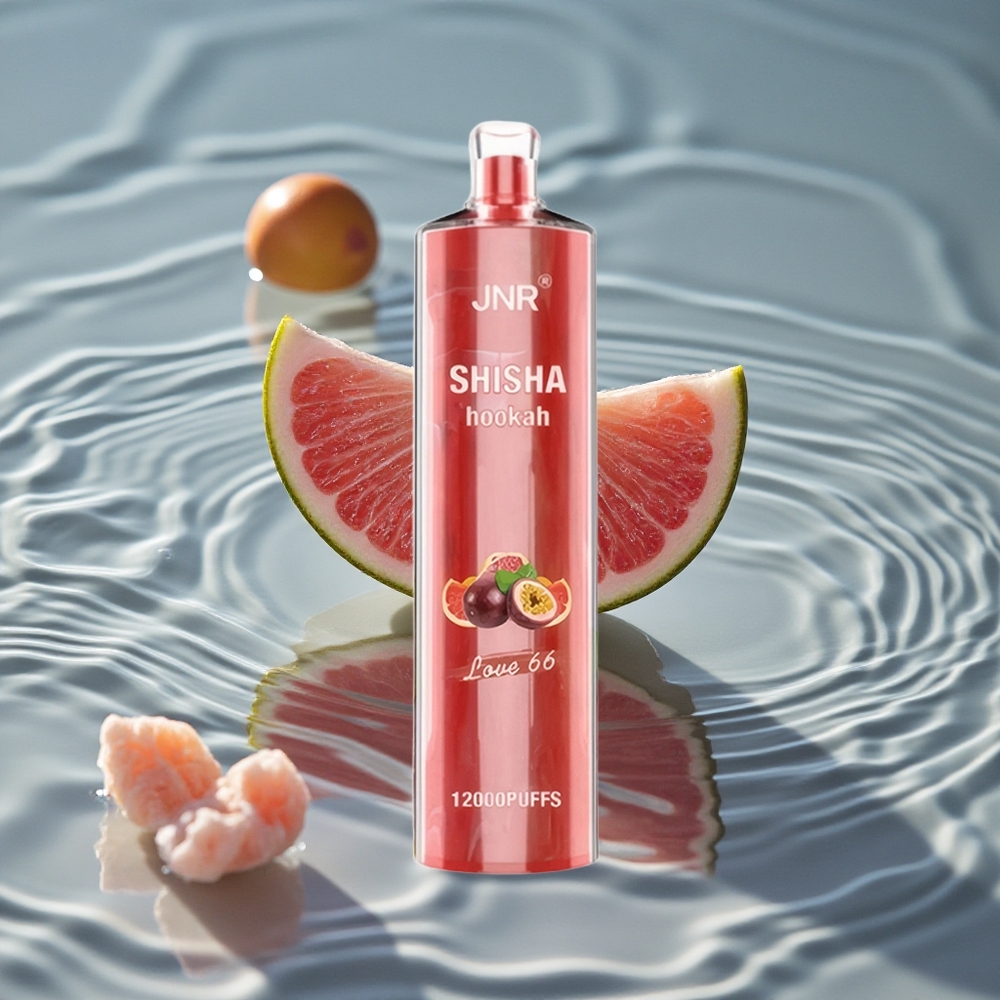 JNR Shisha Hookah 12000 Puffs Vienkartinis Vape Love 66