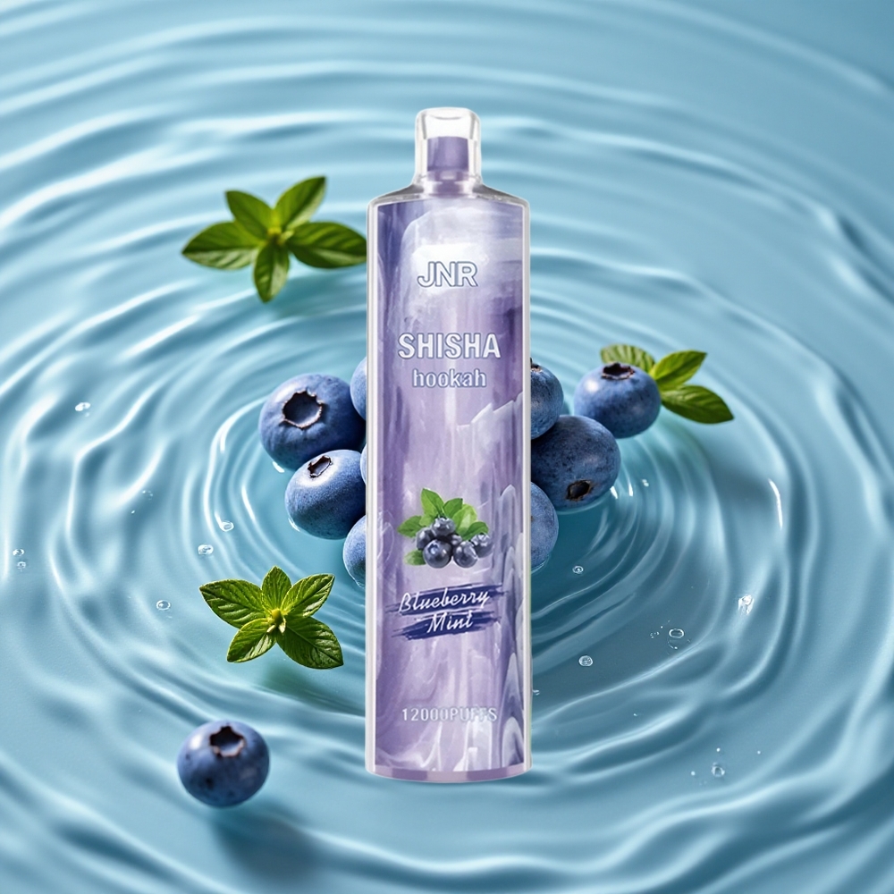 JNR Shisha Hookah 12000 Puffs Vienkartinis Vape Mėlynųjų Gervuogių Mėta