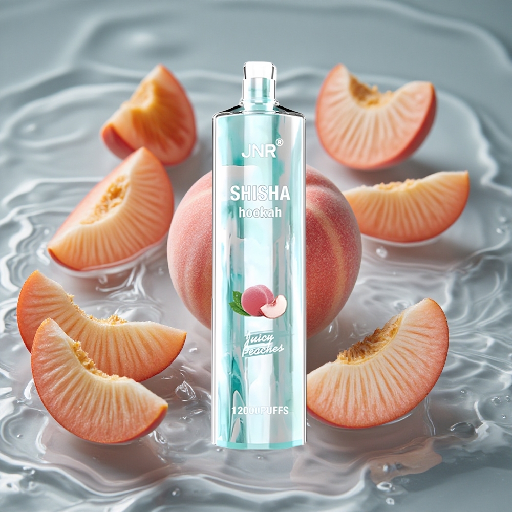 JNR Shisha Hookah 12000 Puffs Vienkartinis Vape Sultingos Persikės