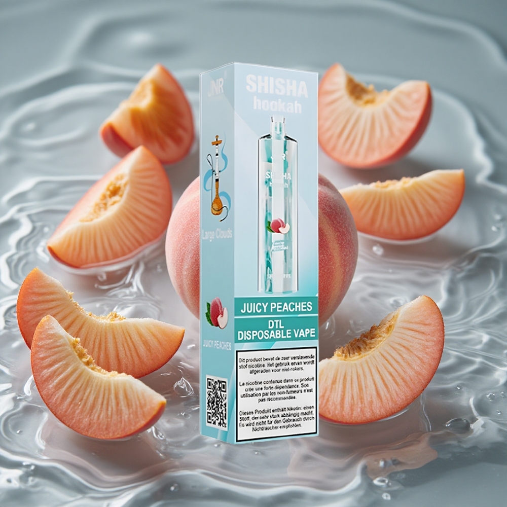JNR Shisha Hookah 12000 Puffs Vienkartinis Vape Sultingos Persikės
