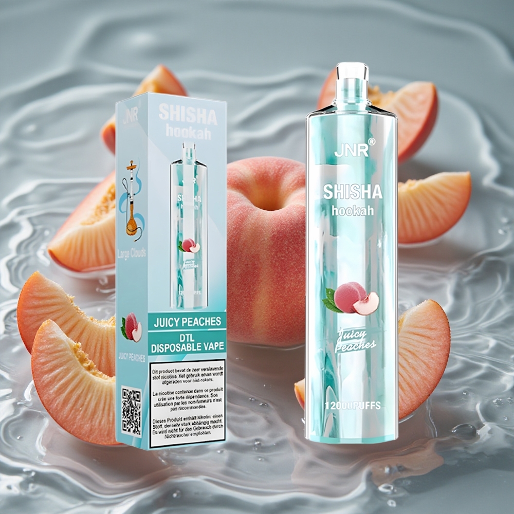 JNR Shisha Hookah 12000 Puffs Vienkartinis Vape Sultingos Persikės