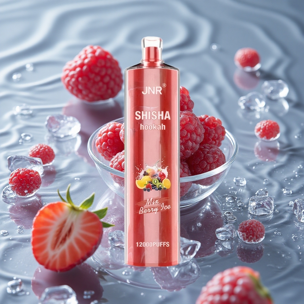 JNR Shisha Hookah 12000 Puffs Vienkartinis Vape Uogų Ledas