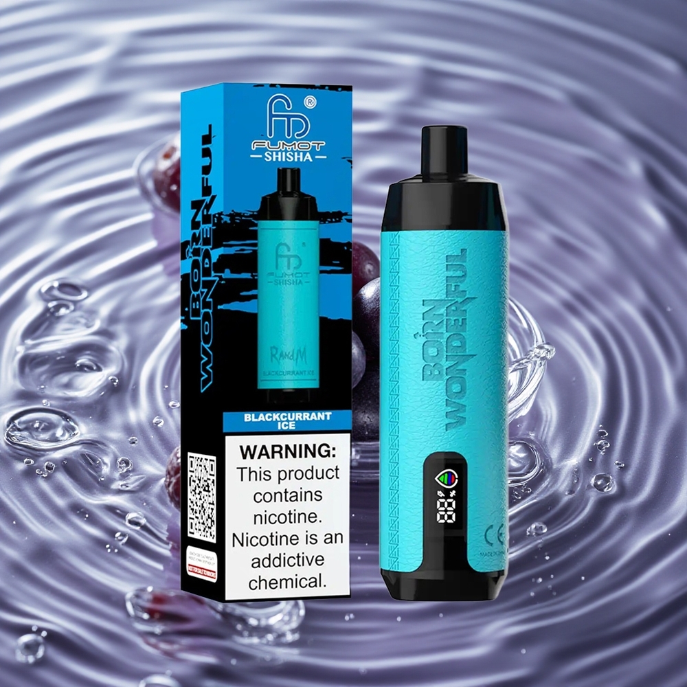 RandM Fumot Shisha 10000 Puffs Vienkartinis Vape Juodųjų Serbentų Ledas