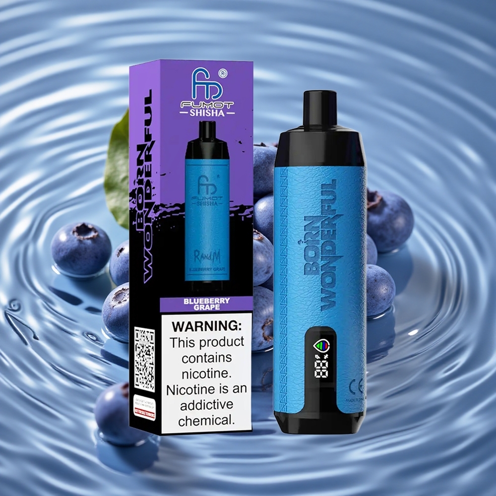 RandM Fumot Shisha 10000 Puffs Vienkartinis Vape Mėlynųjų Serbentų