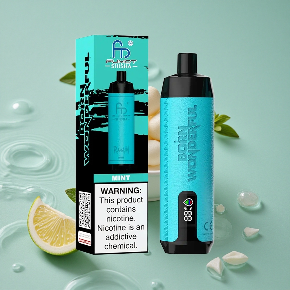 RandM Fumot Shisha 10000 Puffs Vienkartinis Vape Mėta