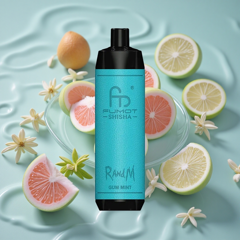 RandM Fumot Shisha 10000 Puffs Vienkartinis Vape Mėtų Guma