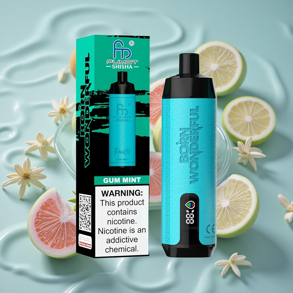 RandM Fumot Shisha 10000 Puffs Vienkartinis Vape Mėtų Guma