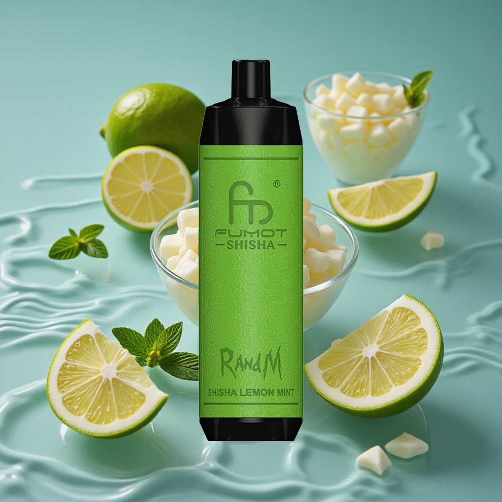 RandM Fumot Shisha 10000 Puffs Vienkartinis Vape Shisha Citrina Mėta