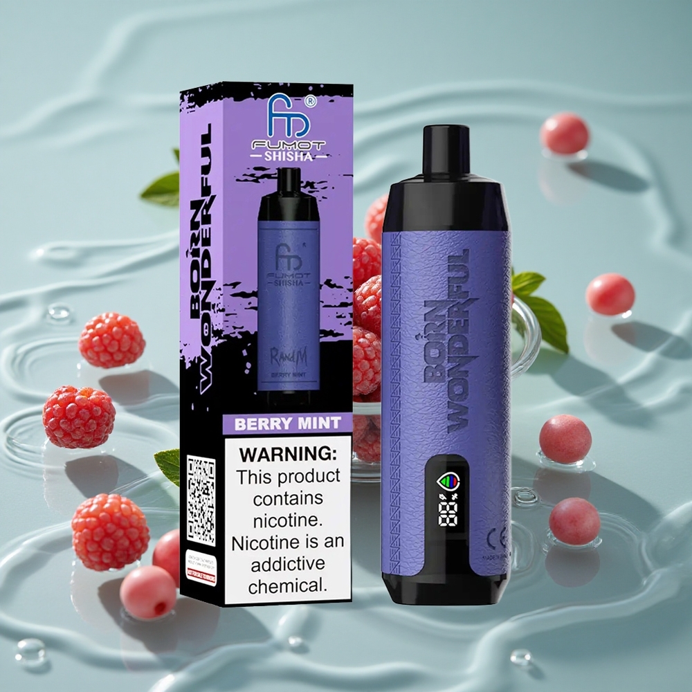 RandM Fumot Shisha 10000 Puffs Vienkartinis Vape Uogų Mėta