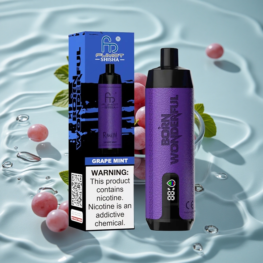 RandM Fumot Shisha 10000 Puffs Vienkartinis Vape Vynuogės Mėta