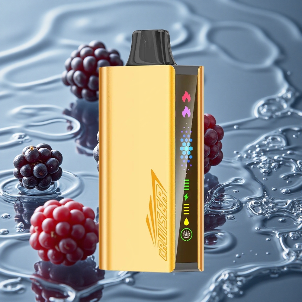 JNR Cruiser 12000 Puffs No-Charge Vienkartinis Vape Juodoji Uoga Ledas