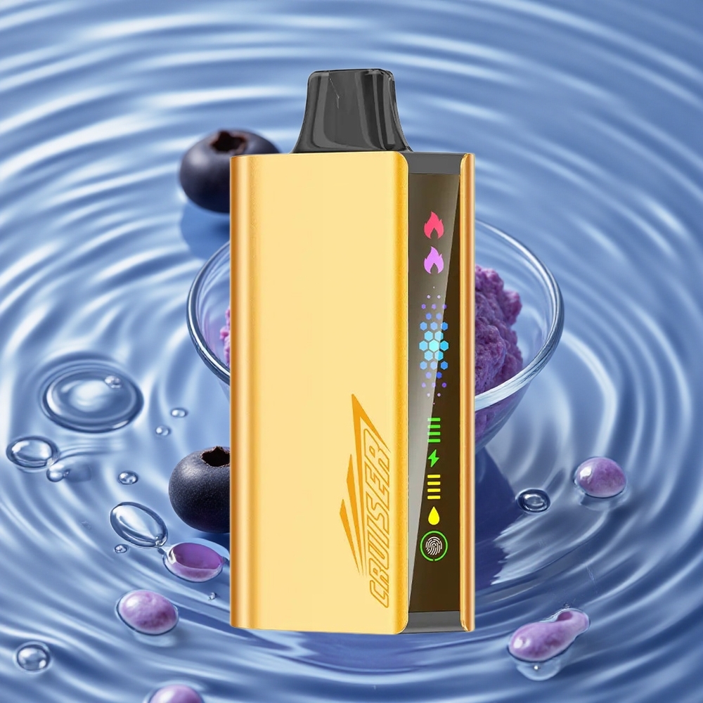 JNR Cruiser 12000 Puffs No-Charge Vienkartinis Vape Mėlynųjų Uogų