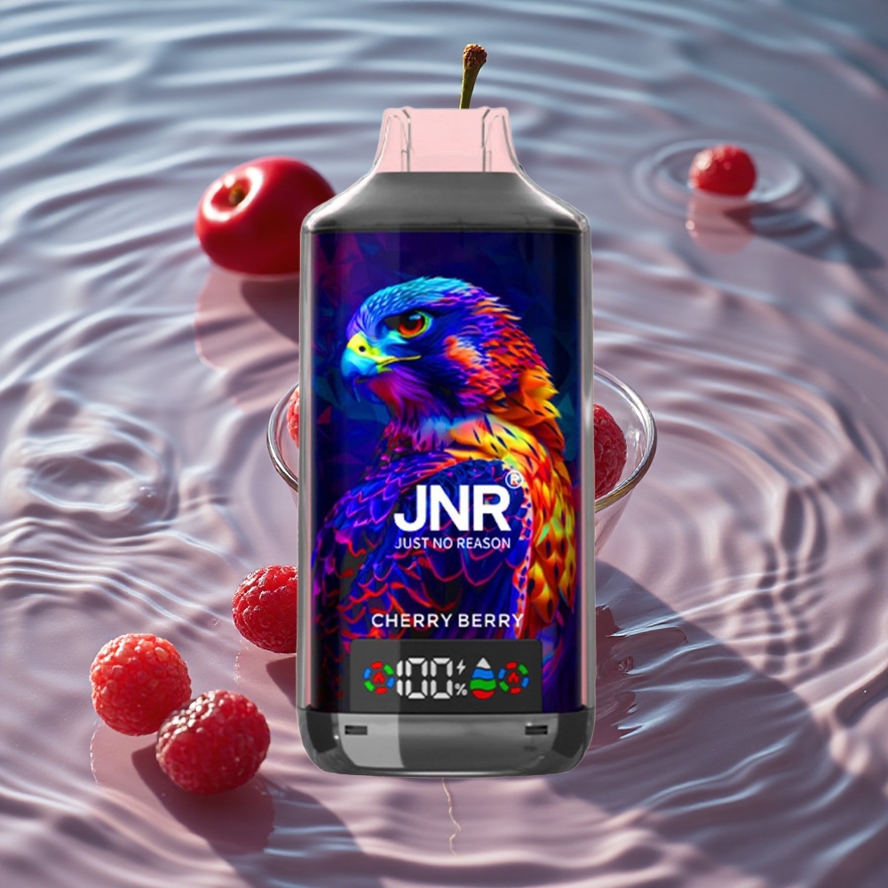 JNR Falcon X 18000 Puffs Vienkartinis Vape Vyšnių Uogų