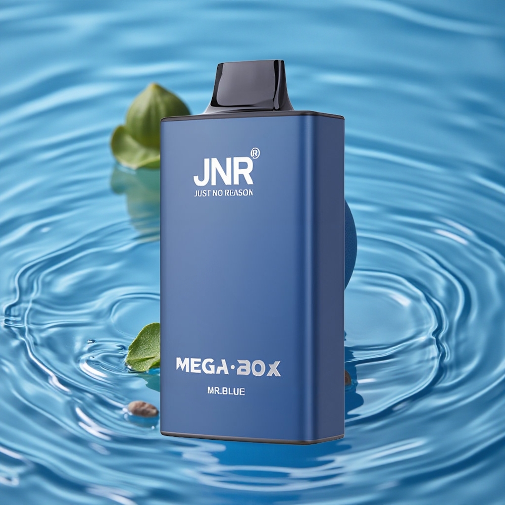JNR Mega Box 25000 Puffs Vienkartinis Vape Mėlynasis