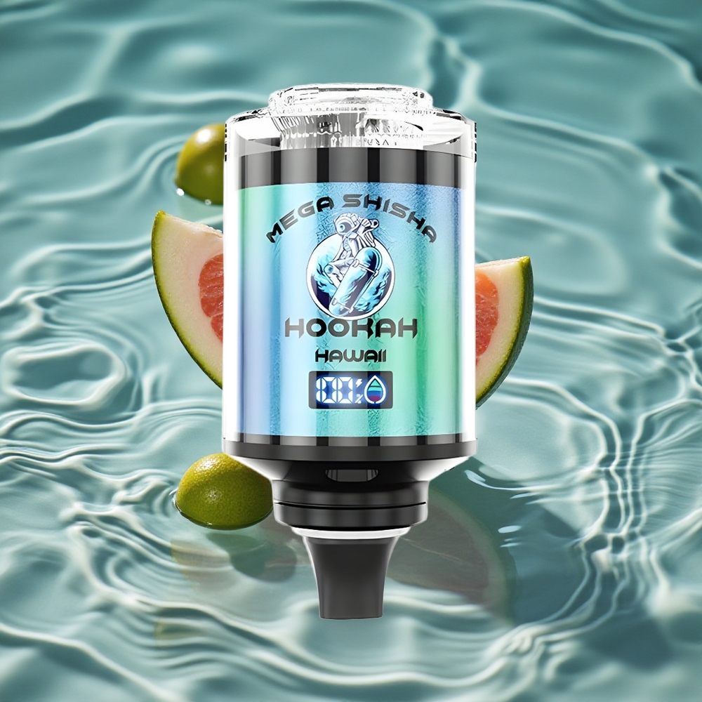 JNR Mega Shisha Hookah 100K Stalo Suderinamumas