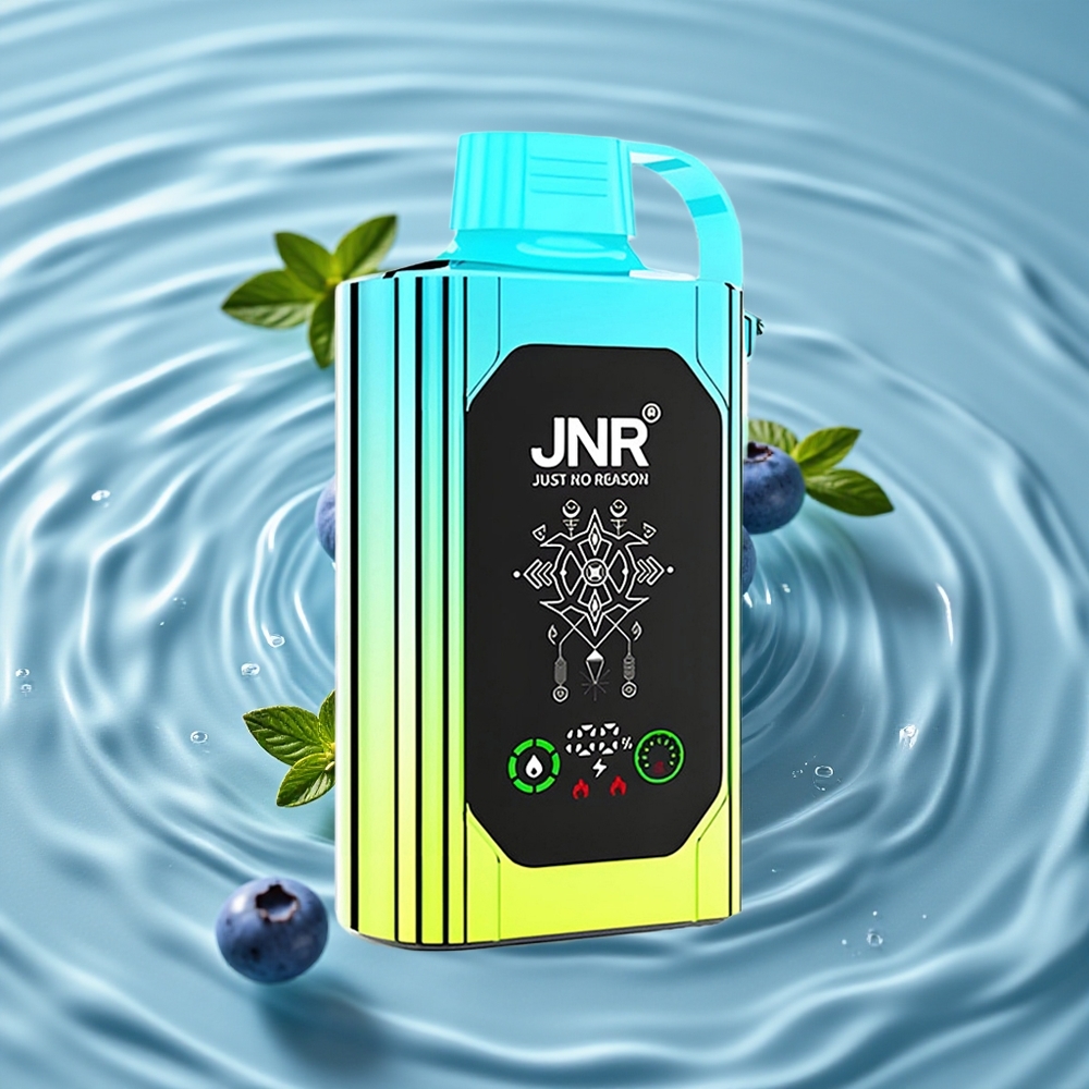 JNR Shisha Hookah Box 20500 Puffs Vienkartinis Vape Mėlynųjų Gervuogių Mėta