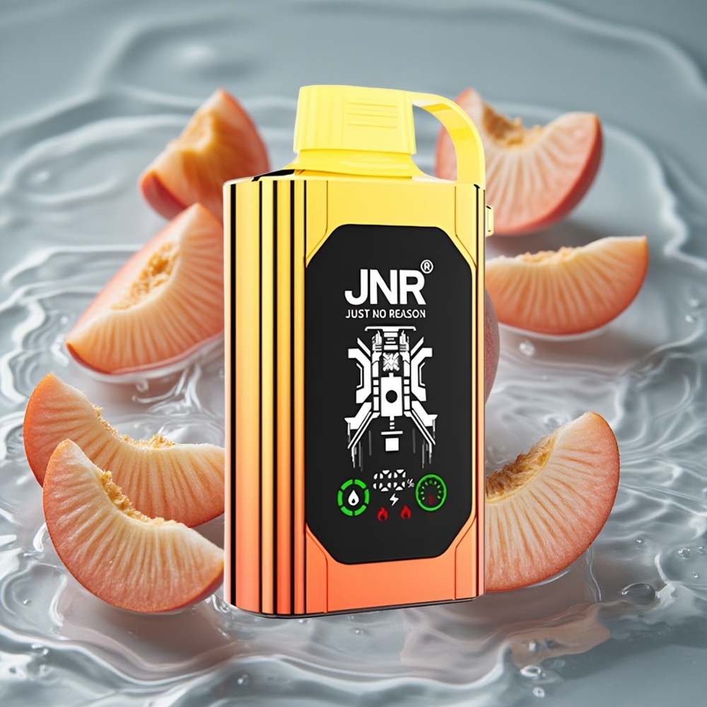 JNR Shisha Hookah Box 20500 Puffs Vienkartinis Vape Sultingos Persikės