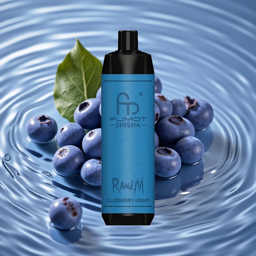 RandM Fumot Shisha 10000 Puffs Vienkartinis Vape Mėlynųjų Serbentų